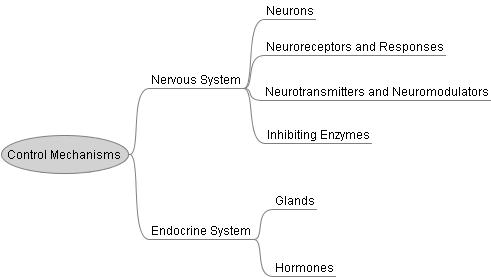 http://www.ludism.org/attachments/mentat/mm1.jpg