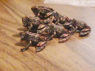 http://www.ludism.org/scpix/20030315/06_ordered_frogs.jpg